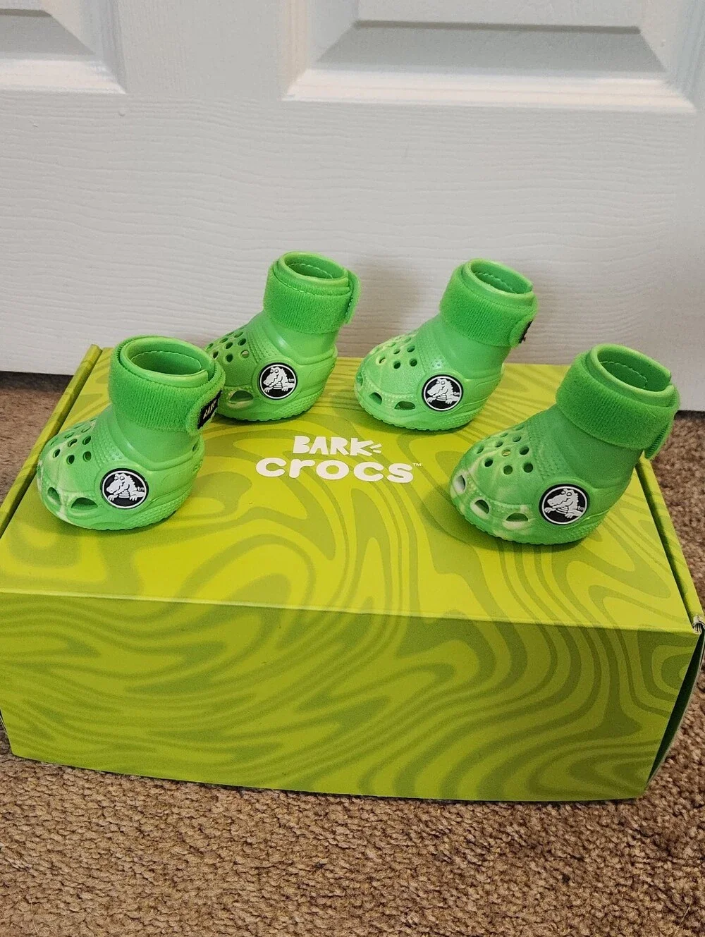 Dog Crocs